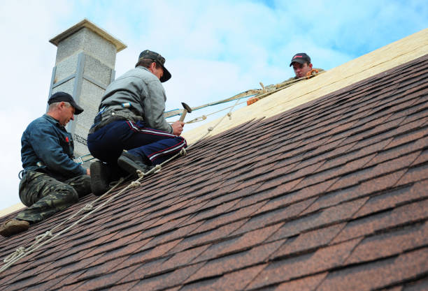 Best Roof Gutter Cleaning  in Tehaleh, WA